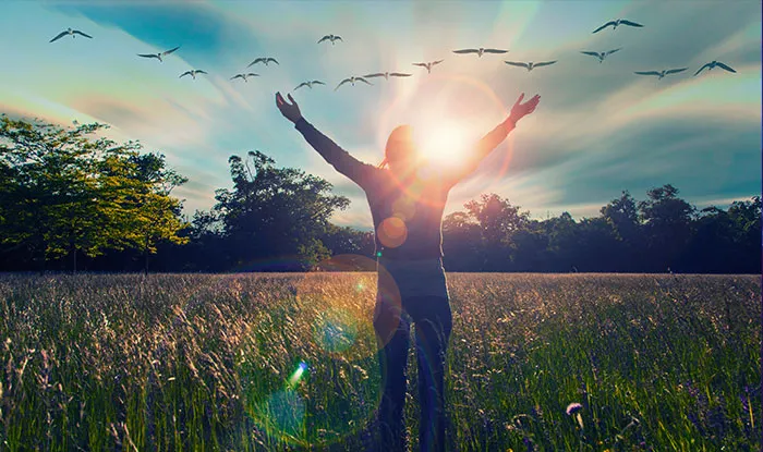 Oportunidades del emprendimiento colectivo